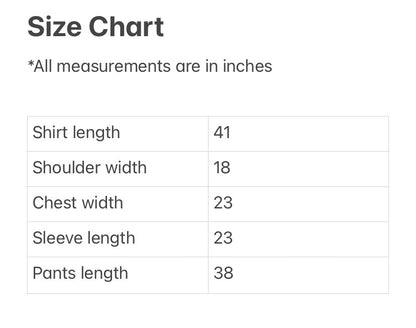 Light Blue-Gray Stitched Clothing - Men's Traditional Afghan Outfit