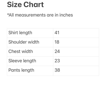 Gray Stitched Ghara - Men's Traditional Afghan Clothes